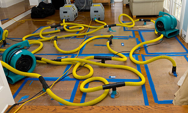 Professional Water Extraction technician working in Dexter, MN